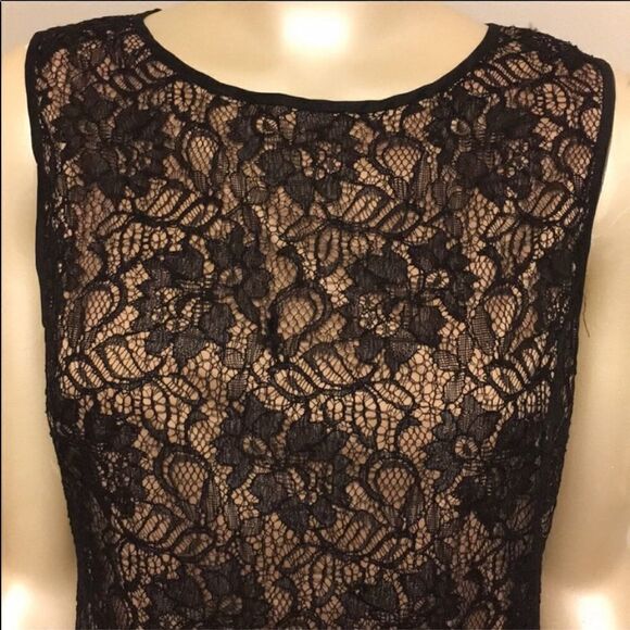 Cache lace dress  - Picture 4 of 11